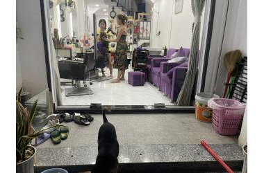 Nhà thoáng sáng, HXH, 54m2, chủ đang mở salon tóc đông như trẩy hội, Bùi Đình Túy,quận Bình Thạnh nhỉnh 4 tỷ